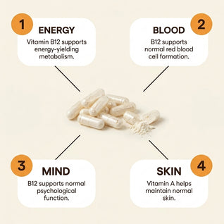 Beef Liver Capsules | 1000mg