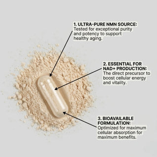 PURE NMN | 500MG