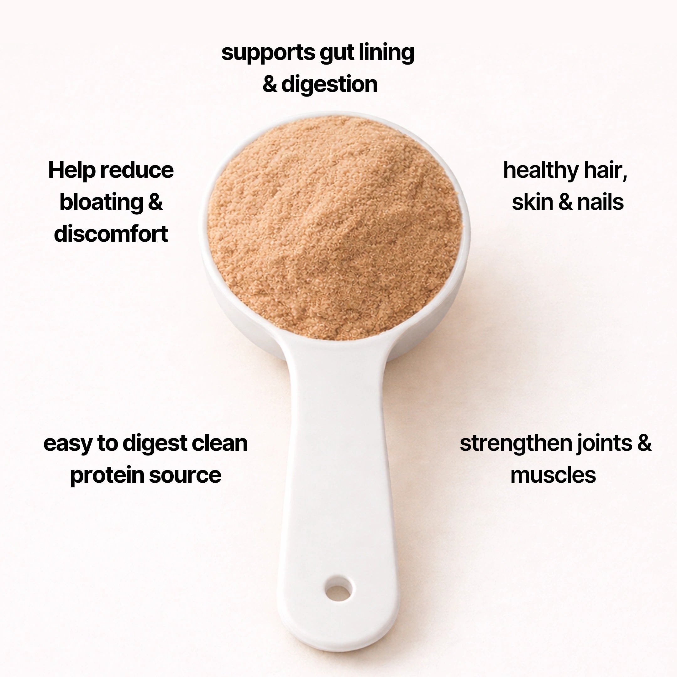 Beef Bone Broth Powder