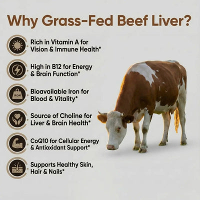 Beef Liver Capsules | 1000mg - reGrounded