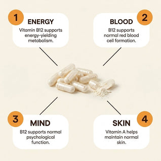 Beef Liver Capsules | 1000mg