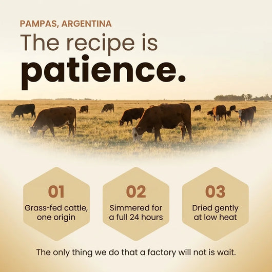 The recipe is patience: grass-fed cattle on the Pampas, Argentina, simmered for a full 24 hours, dried gently at low heat