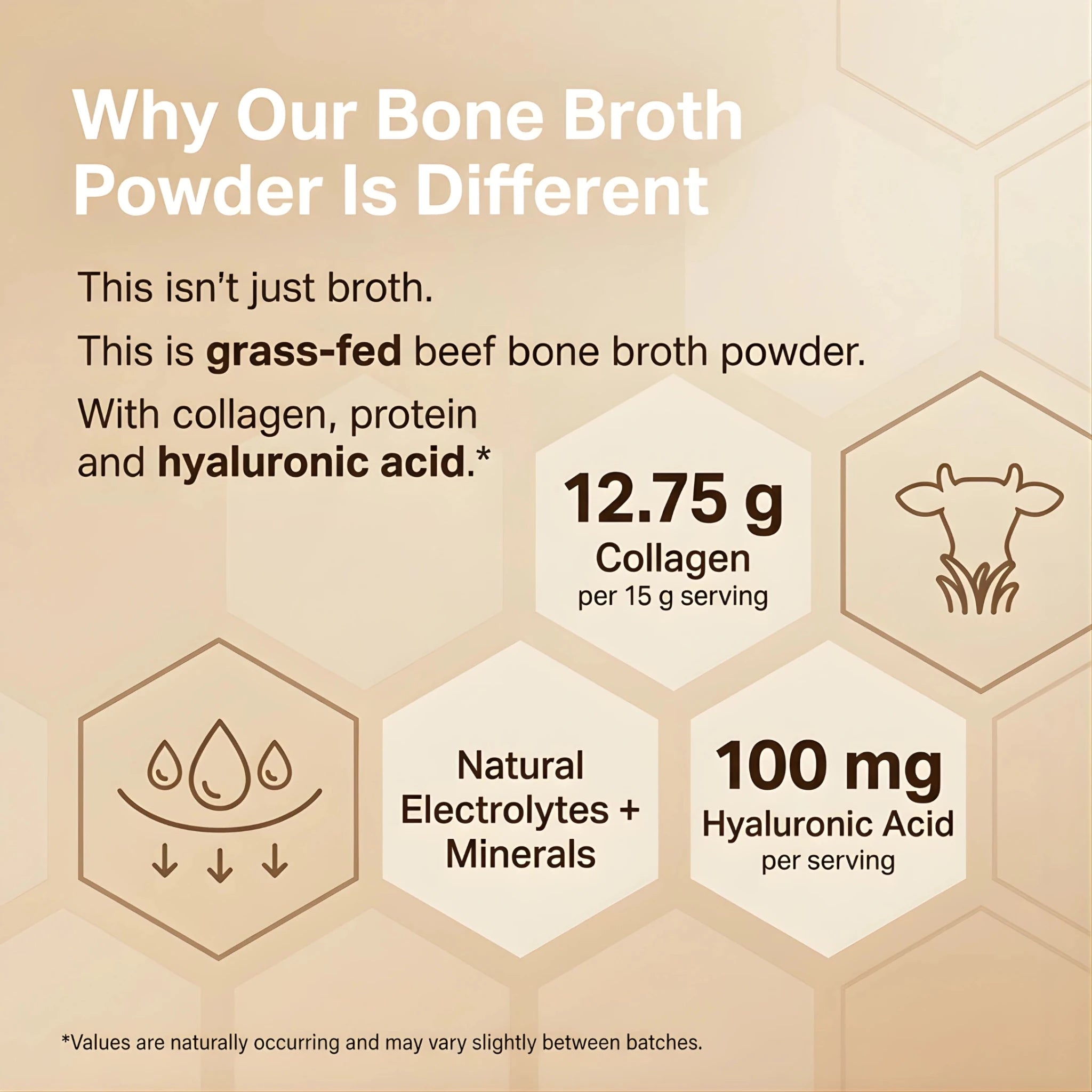 Grass - Fed Beef Bone Broth Powder - reGrounded
