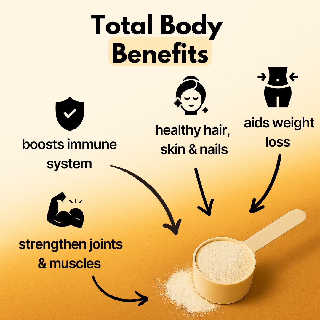 Beef Bone Broth Powder