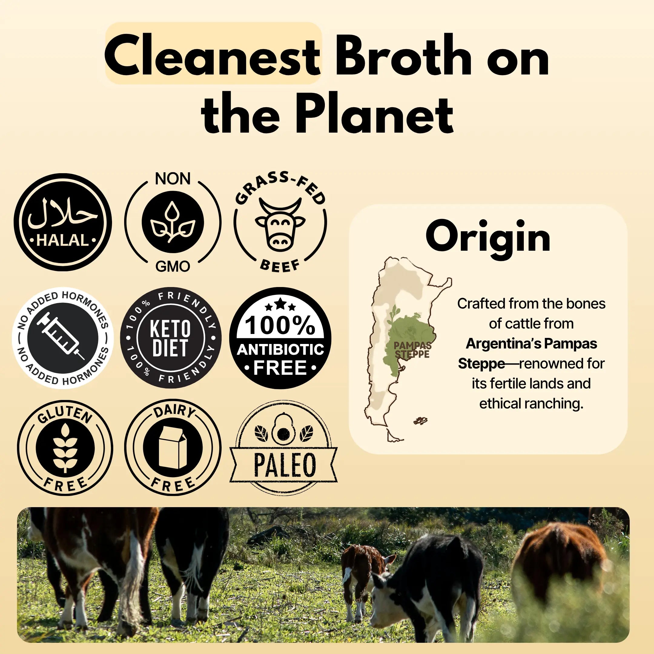 Beef Bone Broth Powder